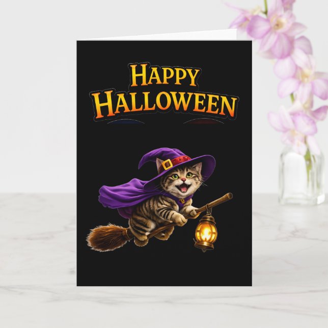 Which kitten soaring whim kort (Orkide)