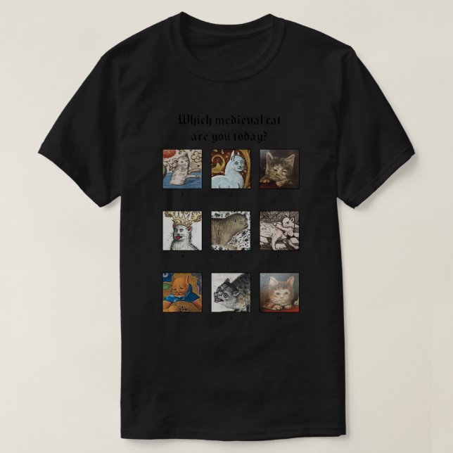 Which medieval cat are you today  t shirt (Design framsida)