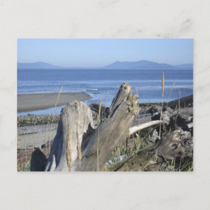 Whidbey Island 4 Vykort