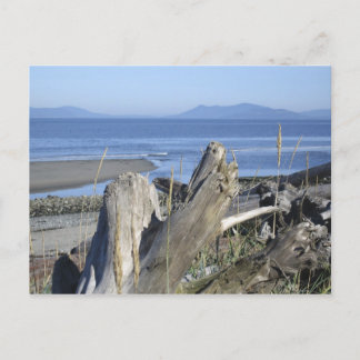 Whidbey Island 4 Vykort