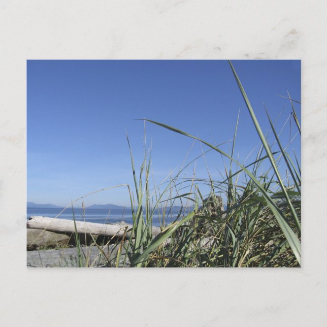 Whidbey Island 5 Vykort (Framsida)