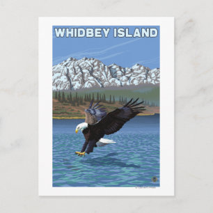 Whidbey Island, WashingtonEagle Fishing Vykort