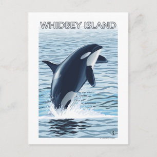 Whidbey Island, WashingtonOrca Jumping Vykort
