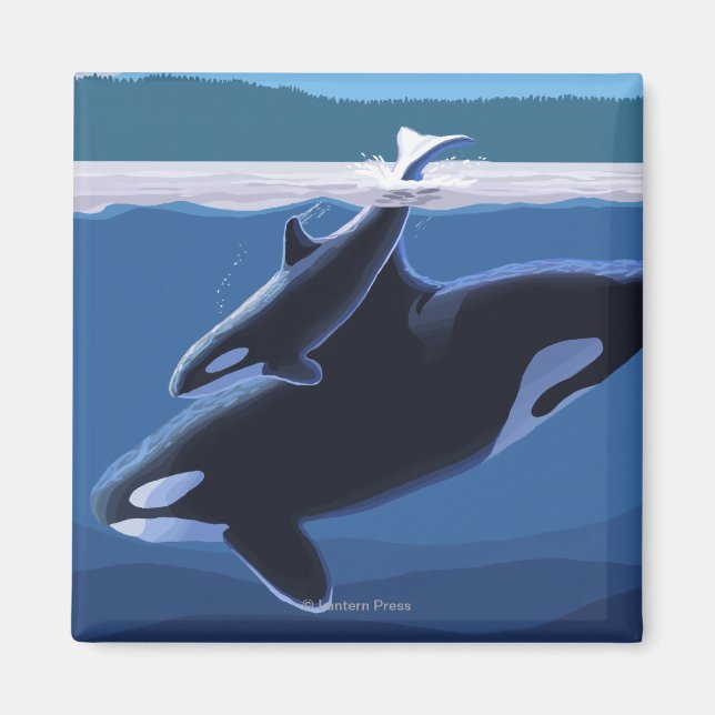 Whidbey Island, WashingtonOrca och Calf Magnet (Framsidan)