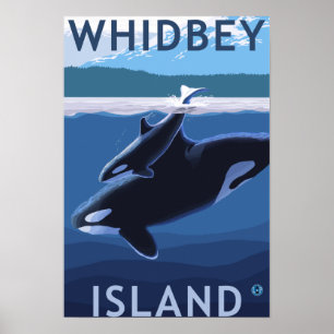 Whidbey Island, WashingtonOrca och Calf Poster