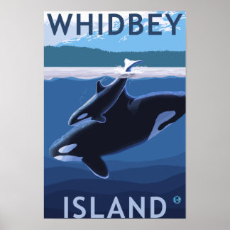 Whidbey Island, WashingtonOrca och Calf Poster