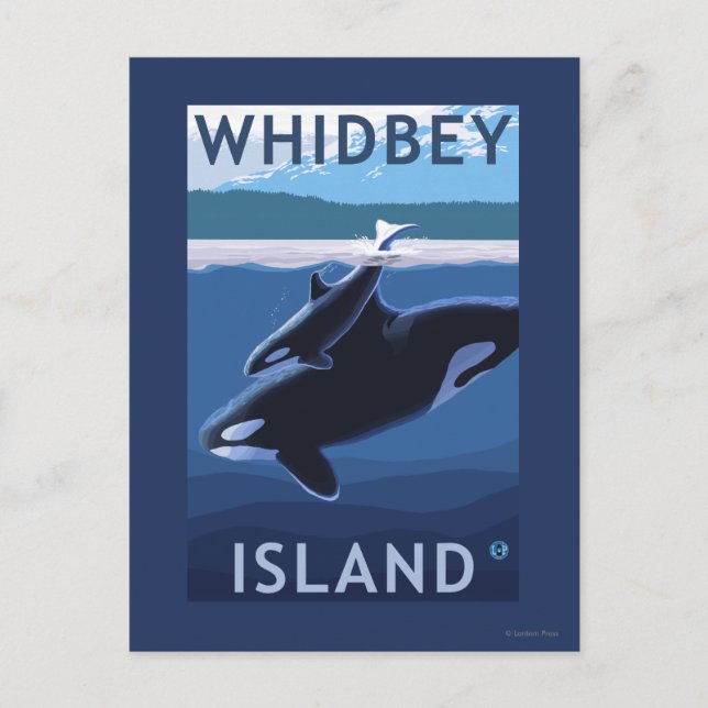 Whidbey Island, WashingtonOrca och Calf Vykort (Framsida)