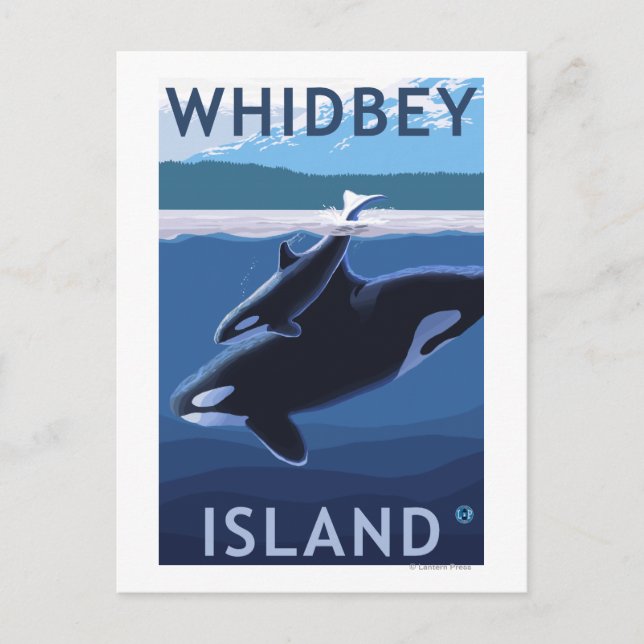 Whidbey Island, WashingtonOrca och Calf Vykort (Framsida)