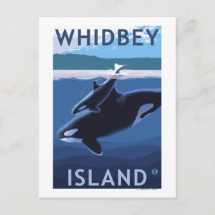 Whidbey Island, WashingtonOrca och Calf Vykort