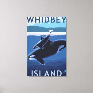Whidbey ö, WashingtonOrca och kalv Canvastryck