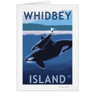 Whidbey ö, WashingtonOrca och kalv Hälsningskort