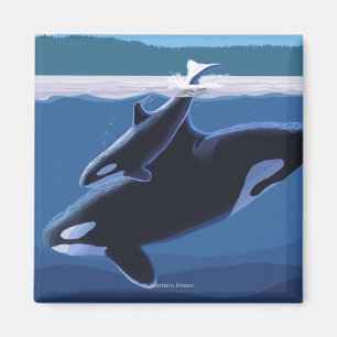 Whidbey ö, WashingtonOrca och kalv Magnet