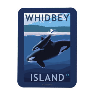 Whidbey ö, WashingtonOrca och kalv Magnet