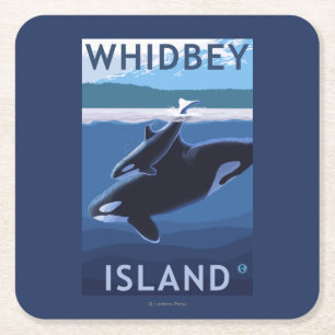 Whidbey ö, WashingtonOrca och kalv Underlägg Papper Kvadrat