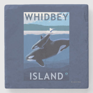 Whidbey ö, WashingtonOrca och kalv Underlägg Sten