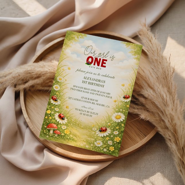 Whimsical Garden Lady Bug 1st Birthday Inbjudningar (Skapare uppladdad)