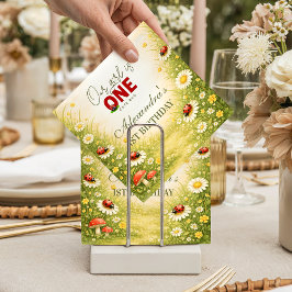 Whimsical Garden Lady Bug 1st Birthday Pappersservett