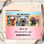 Whimsical Girly Funny Photos Pastel Birthday Vykort<br><div class="desc">Lönsamt vykort med egna 3 foton (tillval) på en vismisk pastellbakgrund. Vacker för ett barns födelsedag (eller vuxen) eller annat tillfälle.</div>