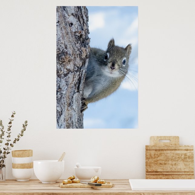 Whimsical Grått Squirrel Poster (Kök)