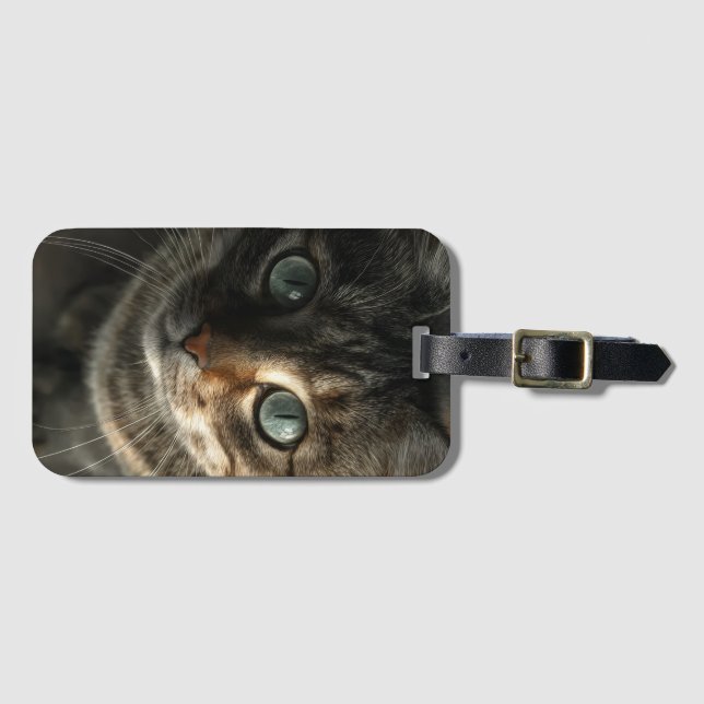 Whimsical Gray Cat Portrait Wall Art Bagagebricka (Framsida horisontal)