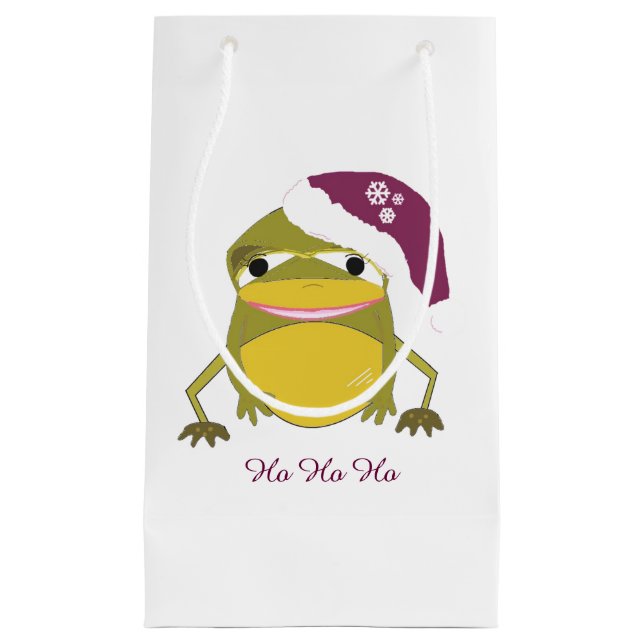 Whimsical groda i Santa hatt (Framsidan)
