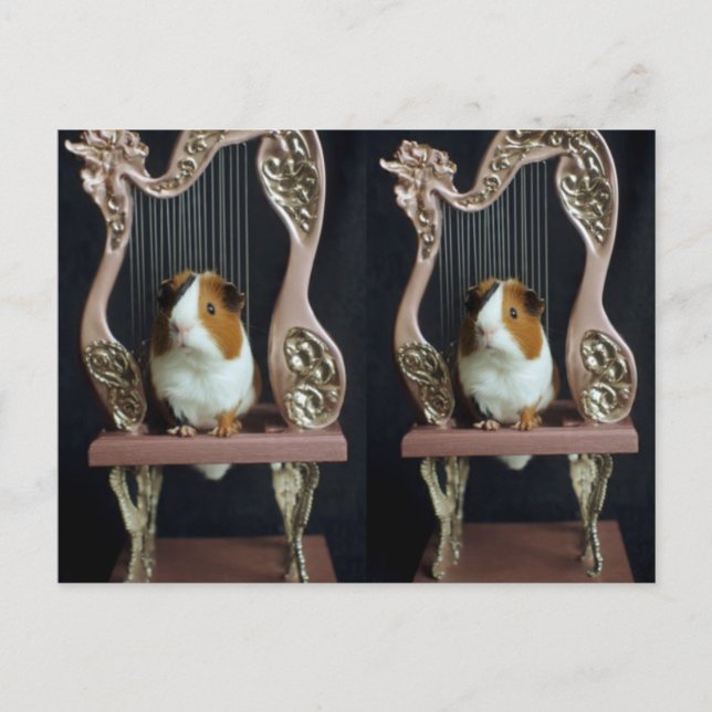 Whimsical Guinea Pig Harp Postcard – Elegant Story Vykort (Framsida)