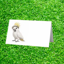   Whimsical Little Cockatoo