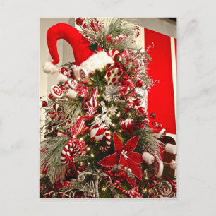 Whimsical Red & White Candy ThMeed Julgran Vykort