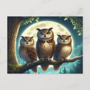 Whimsical Uggla Trio Vykort