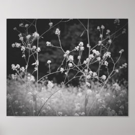 Whimsical Wildblomma Black and White Poster