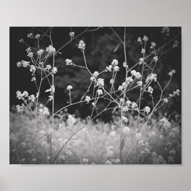 Whimsical Wildblomma Black and White Poster (Framsidan)