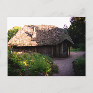Whimsical Wood House Photo Postcard Vykort