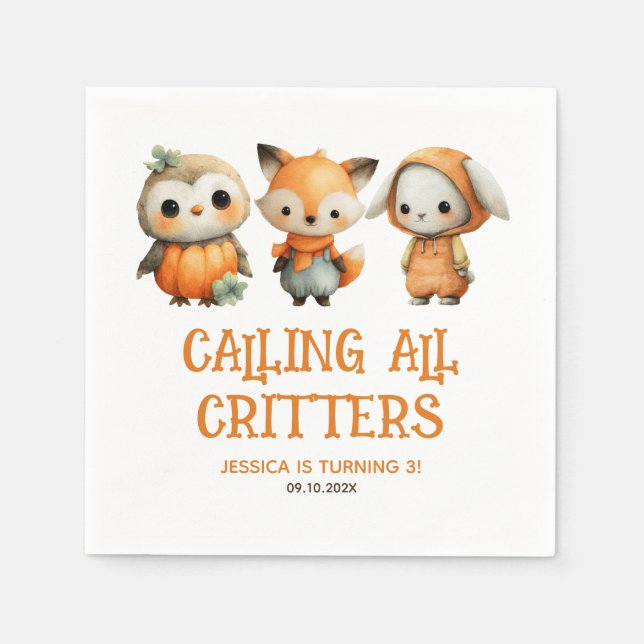 Whimsical Woodland Animals Fall Kids' Birthday Pappersservett (Framsidan)