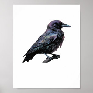 Whimsigoth Moody Blommigt Grungy Corvus, Raven, Kr Poster
