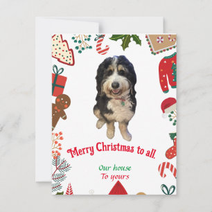 Whimsique Bernedoodle hund julkort helgdag
