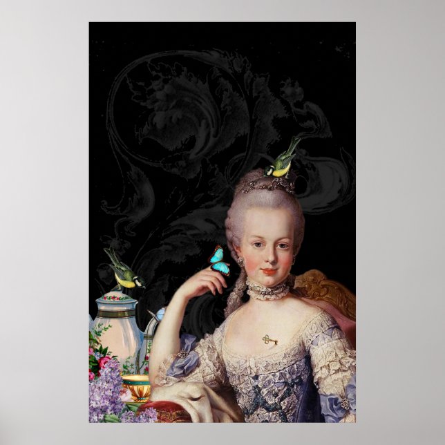 Whimsique Marie Antoinette-hemlige djurhållare Poster (Framsidan)