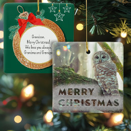 Whimsique Uggla i Winter God jul Julgransprydnad Keramik