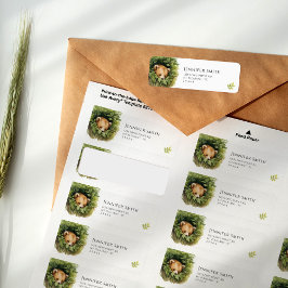 Whimsiskt Sömnig Baby Bear Baby Shower Returadress Etikett