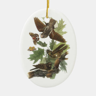 "Whip-Poor" av Audubon Julgransprydnad Keramik