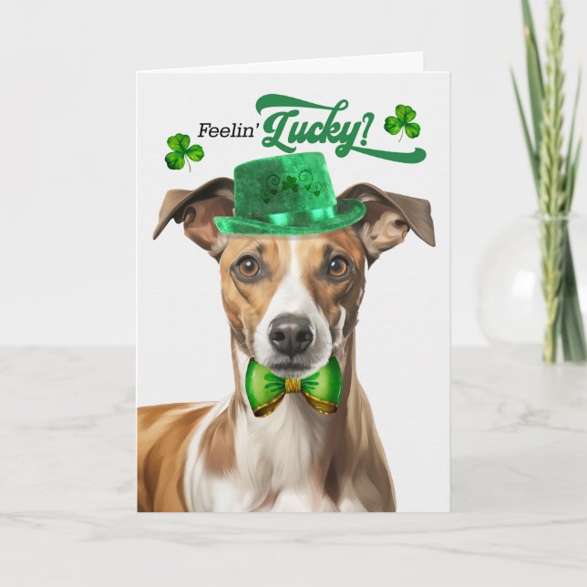 Whipper Hund Feelin'Lucky St patrick's day Helgkort (Framsida)