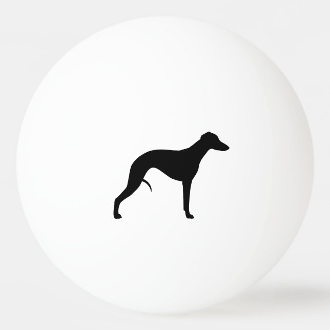 Whipper Silhouette Pingisboll (Framsidan)