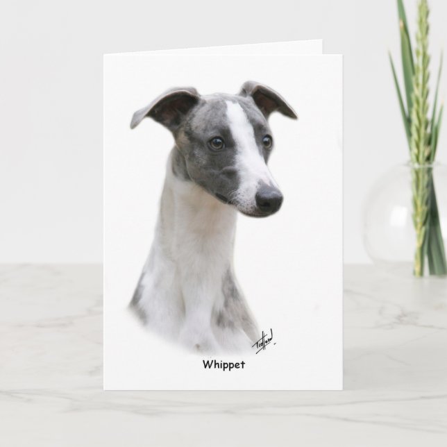 Whippet 9Y205D-231 Kort (Framsida)
