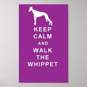 WHIPPET-behållalugn går Whippet den underbara Poster
