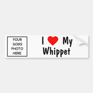 Whippet Bildekal