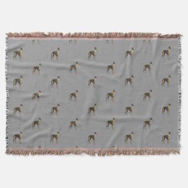 Whippet blanket - Whippet against grey background Filt (Framsidan)