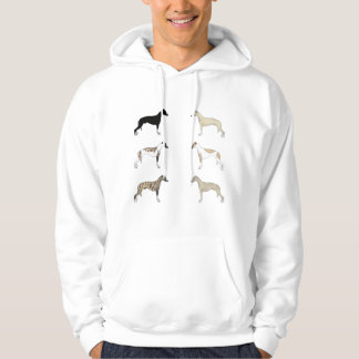 Whippet Colors Sweatshirt Med Luva