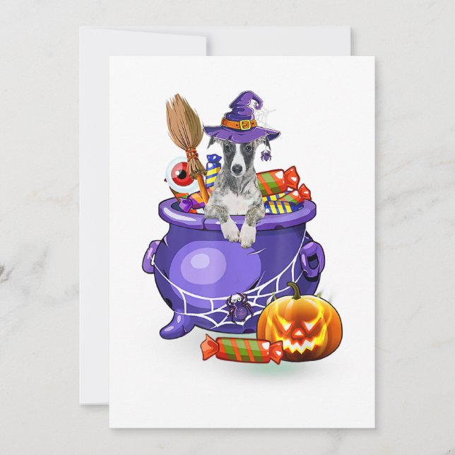 Whippet Dog with witch hat Candy Pumpkin Halloween Julkort (Framsida)
