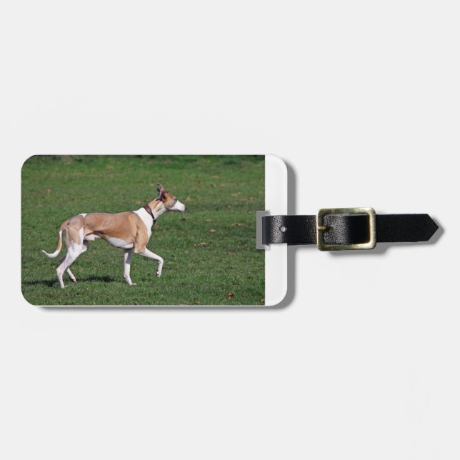 whippet-full.png bagagebricka (Horisontell Framsida)