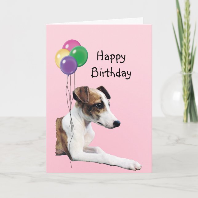 Whippet grattis på födelsedagen kort (Framsida)