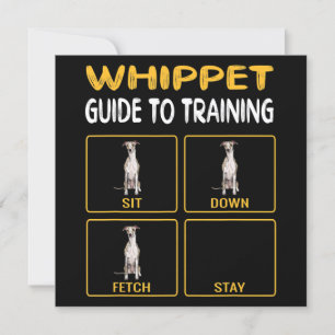 Whippet Guide till träning av hundlydnad Inbjudningar